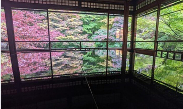 京都瑠璃光院の漆机に映った見事な紅葉